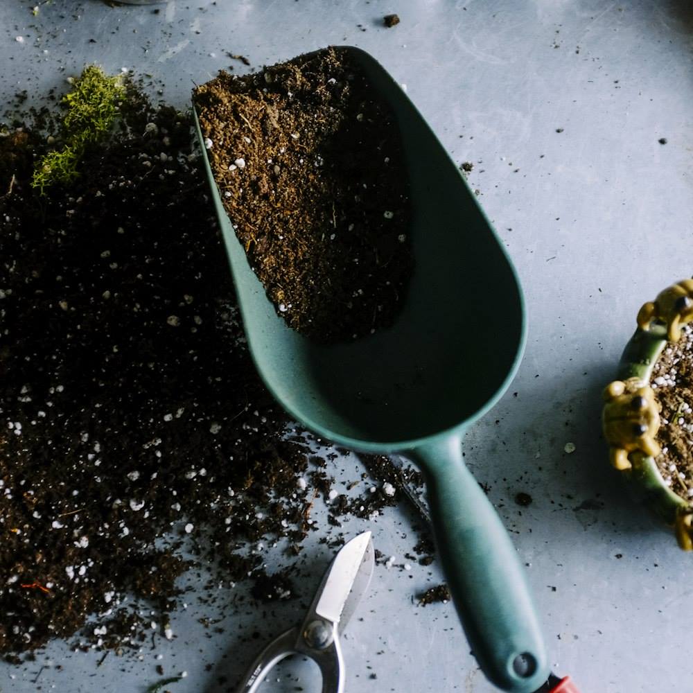 Plant Defense